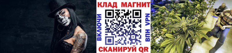 Наркошоп купить Конопля  Alpha-PVP  ГАШ  Мефедрон  Псилоцибиновые грибы  КОКАИН  Курчатов