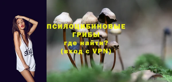 МДПВ Волоколамск