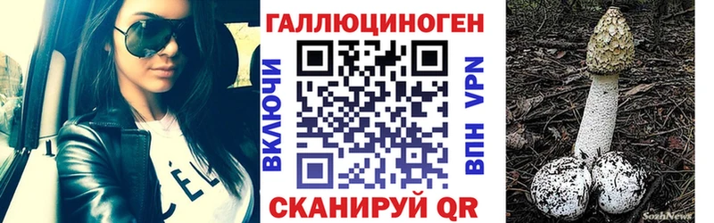 Псилоцибиновые грибы ЛСД  Купить  Курчатов 